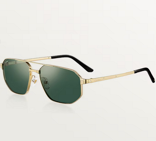 Cartier Santos De Cartier  ESW00575